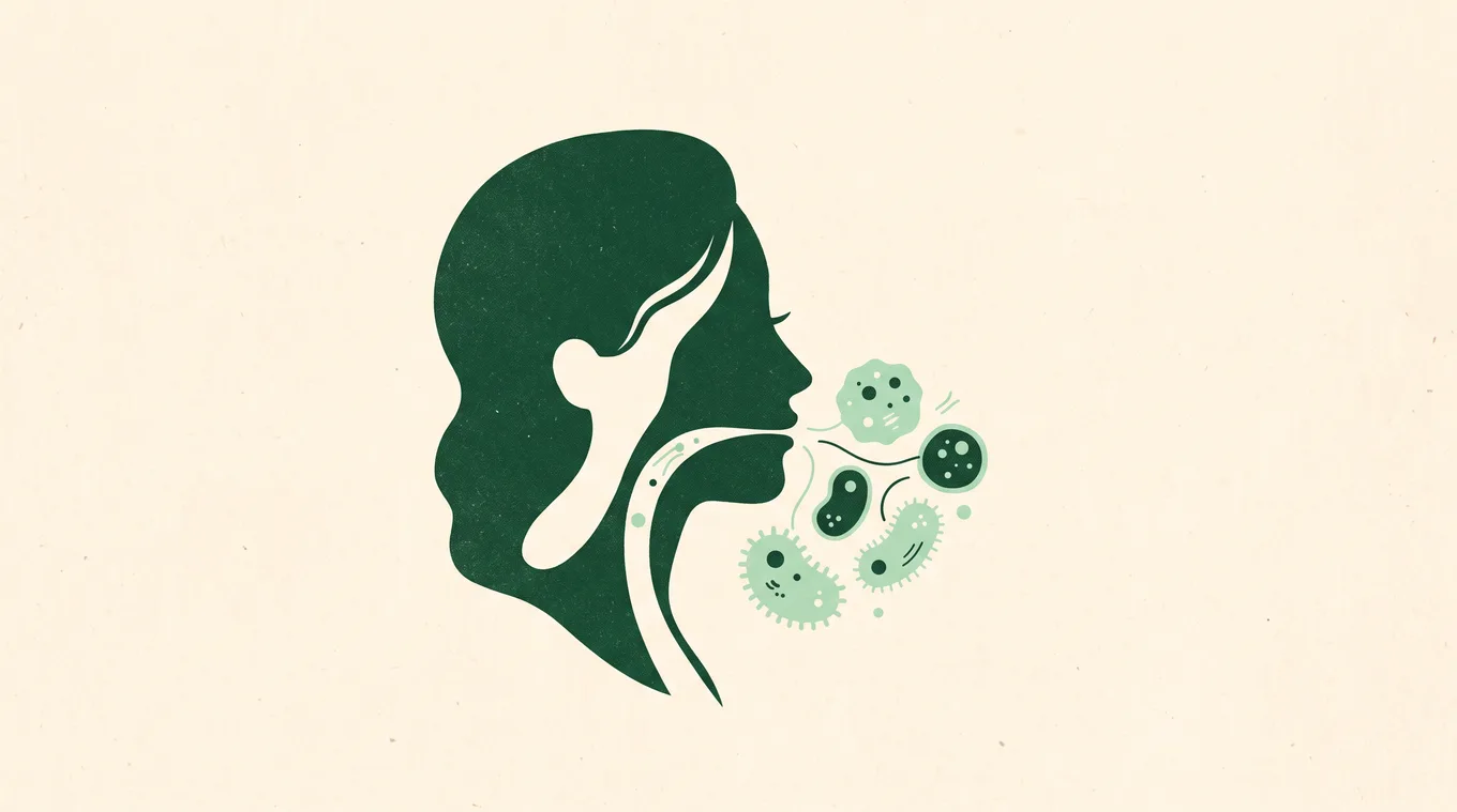 Illustration of a head in profile with friendly microbes near the mouth and throat